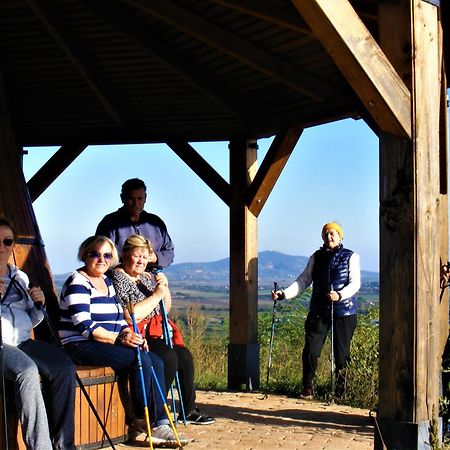 Tokaj Hill Panorama Guesthouse Szerencs Ngoại thất bức ảnh