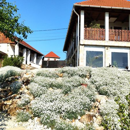Tokaj Hill Panorama Guesthouse Szerencs Ngoại thất bức ảnh