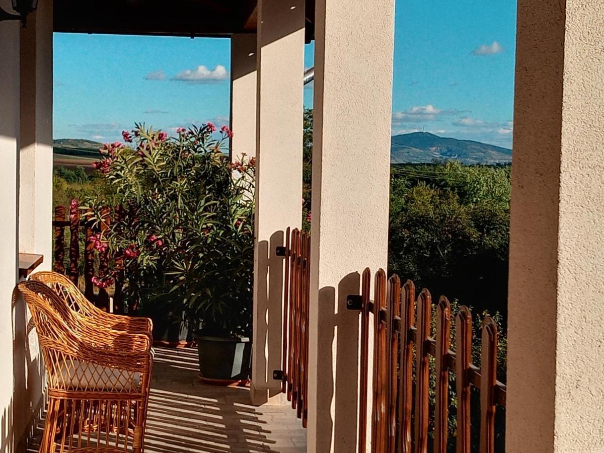 Tokaj Hill Panorama Guesthouse Szerencs Ngoại thất bức ảnh