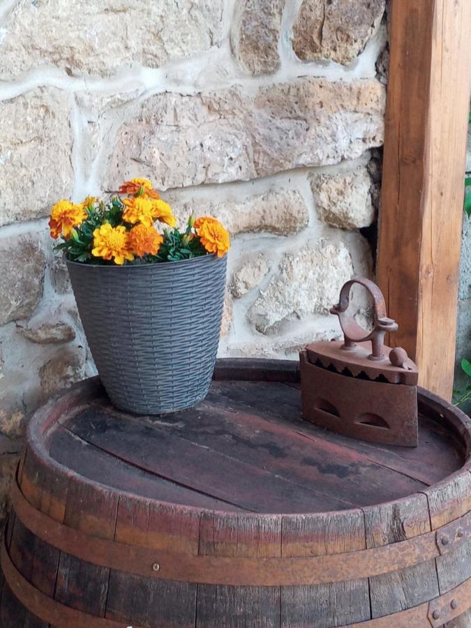 Tokaj Hill Panorama Guesthouse Szerencs Ngoại thất bức ảnh