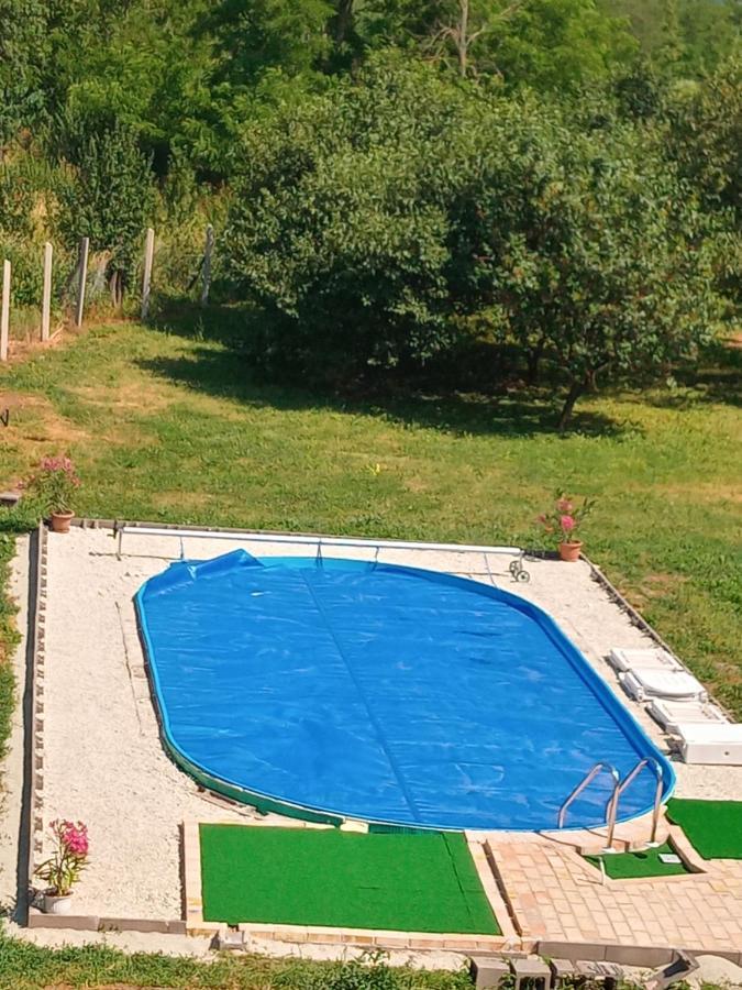 Tokaj Hill Panorama Guesthouse Szerencs Ngoại thất bức ảnh