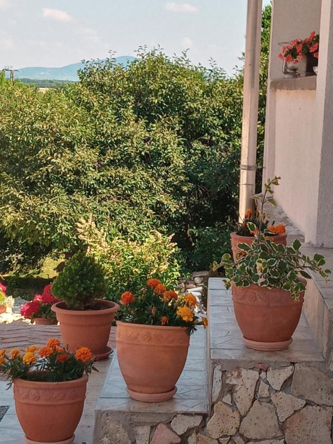 Tokaj Hill Panorama Guesthouse Szerencs Ngoại thất bức ảnh