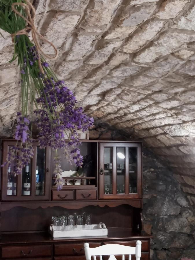 Tokaj Hill Panorama Guesthouse Szerencs Ngoại thất bức ảnh