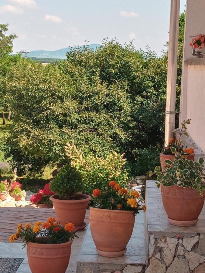 Tokaj Hill Panorama Guesthouse Szerencs Ngoại thất bức ảnh