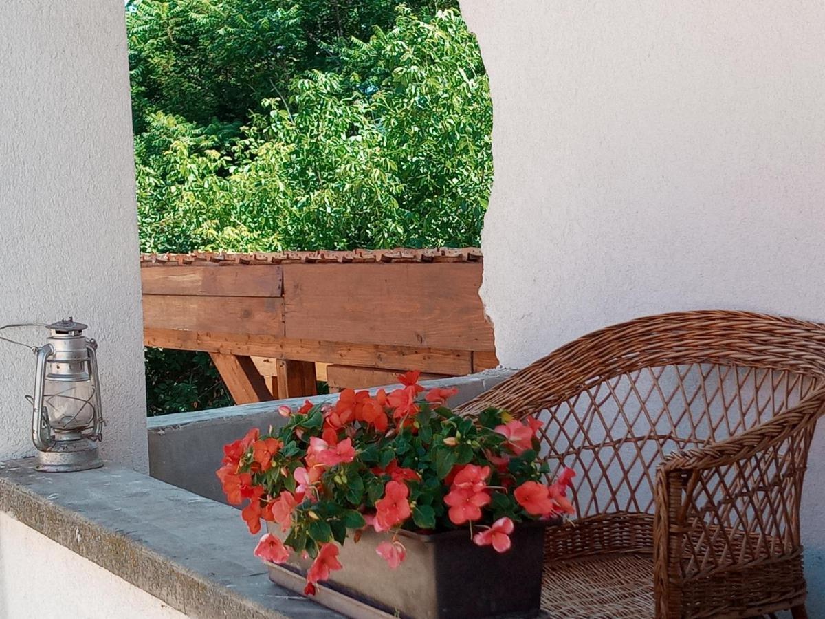Tokaj Hill Panorama Guesthouse Szerencs Ngoại thất bức ảnh