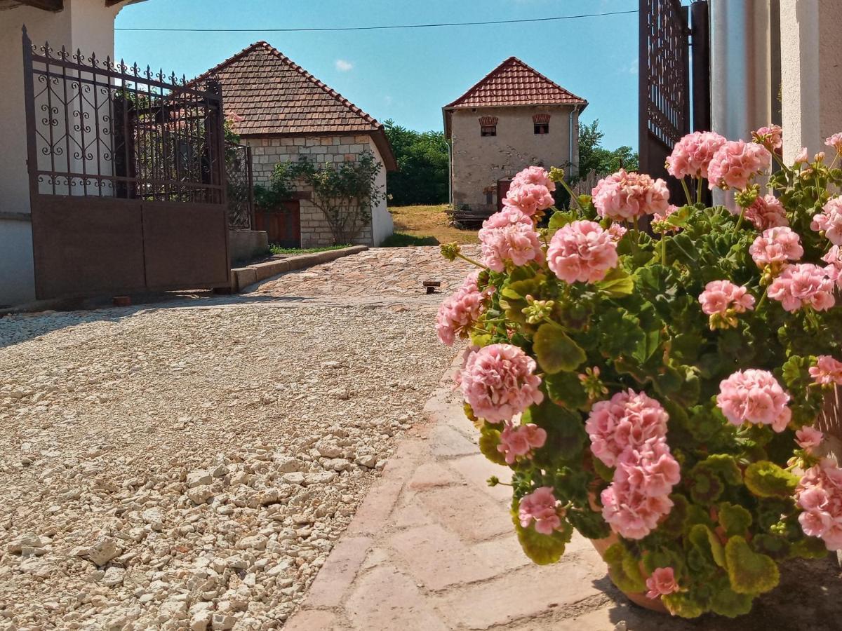Tokaj Hill Panorama Guesthouse Szerencs Ngoại thất bức ảnh
