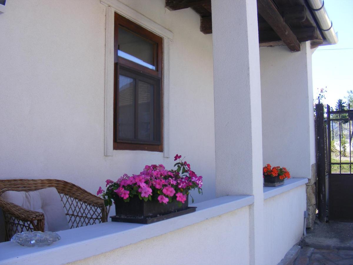 Tokaj Hill Panorama Guesthouse Szerencs Ngoại thất bức ảnh