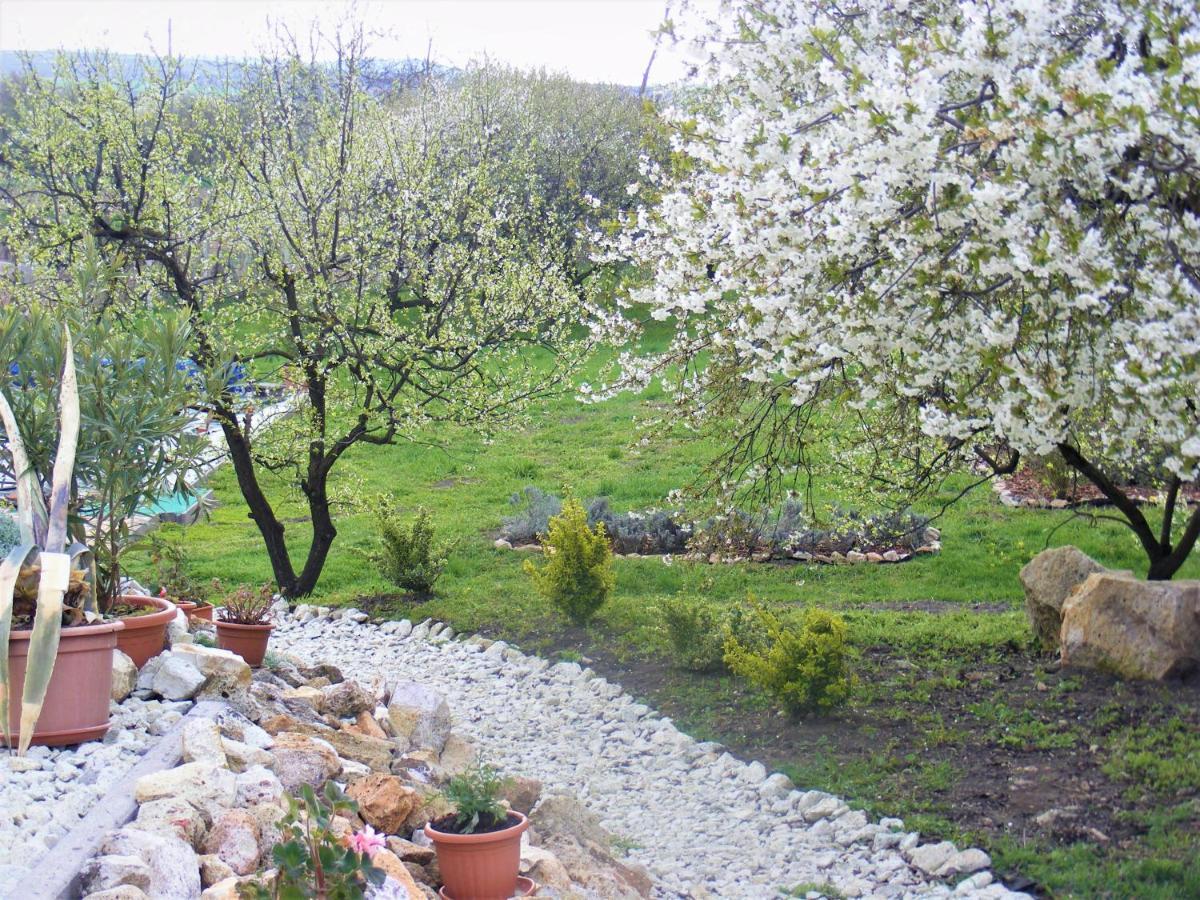 Tokaj Hill Panorama Guesthouse Szerencs Ngoại thất bức ảnh
