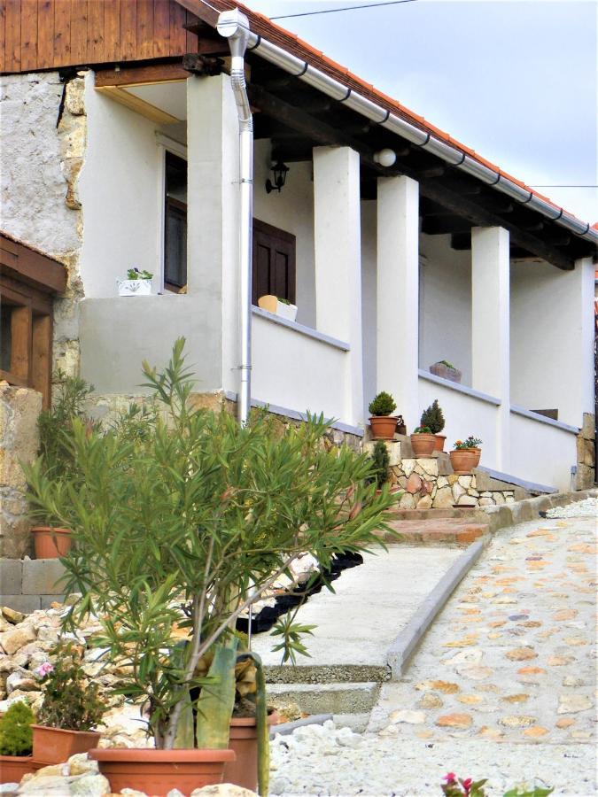 Tokaj Hill Panorama Guesthouse Szerencs Ngoại thất bức ảnh