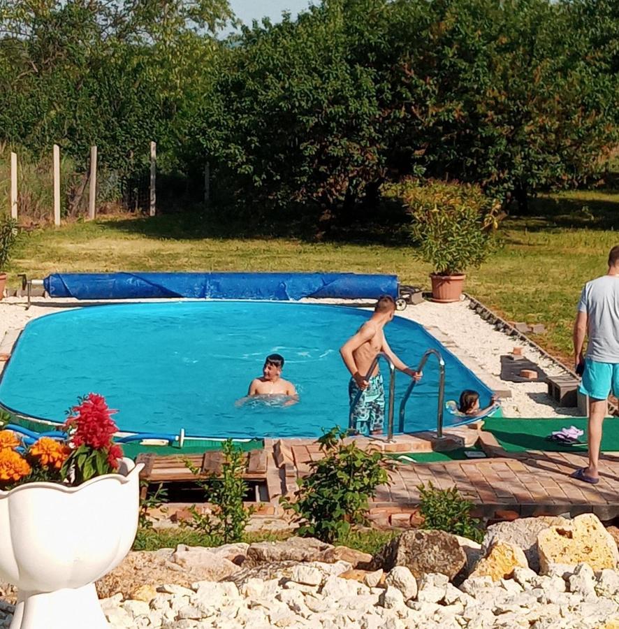 Tokaj Hill Panorama Guesthouse Szerencs Ngoại thất bức ảnh