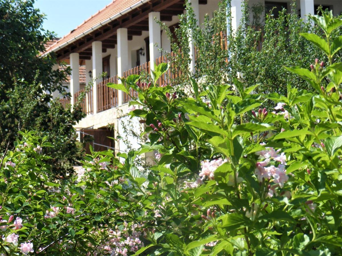 Tokaj Hill Panorama Guesthouse Szerencs Ngoại thất bức ảnh