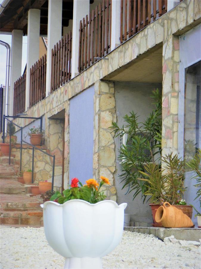 Tokaj Hill Panorama Guesthouse Szerencs Ngoại thất bức ảnh