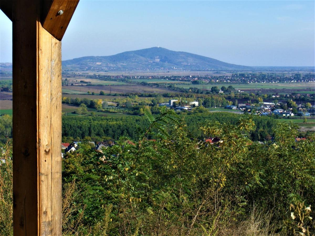 Tokaj Hill Panorama Guesthouse Szerencs Ngoại thất bức ảnh