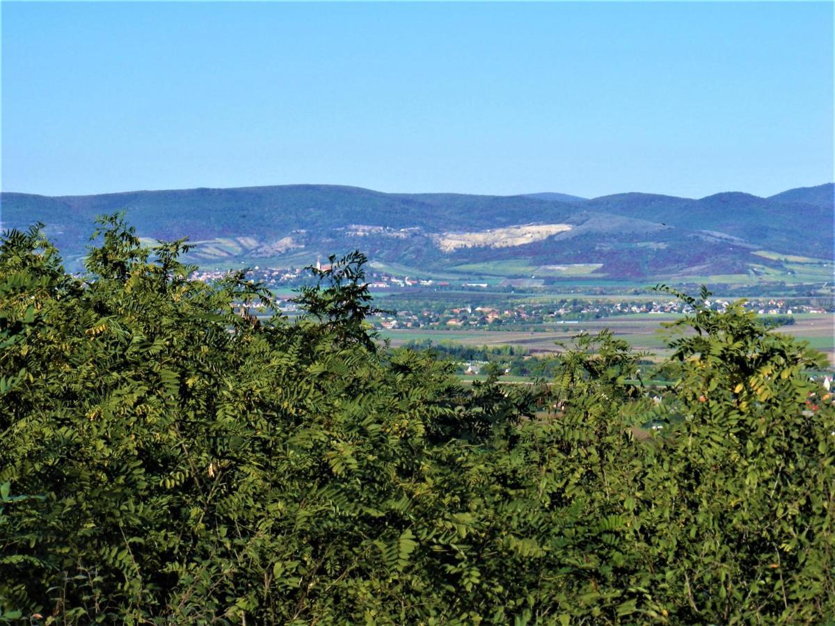 Tokaj Hill Panorama Guesthouse Szerencs Ngoại thất bức ảnh