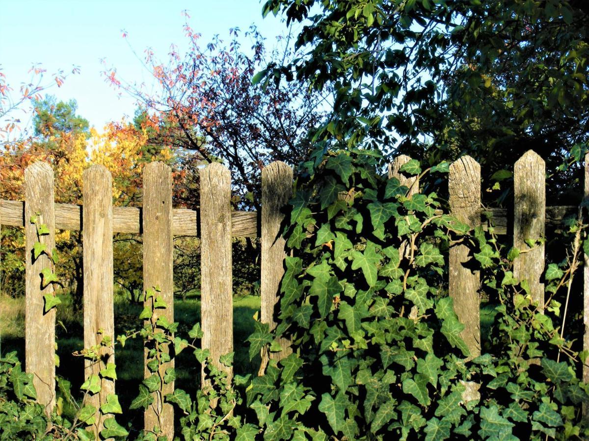 Tokaj Hill Panorama Guesthouse Szerencs Ngoại thất bức ảnh