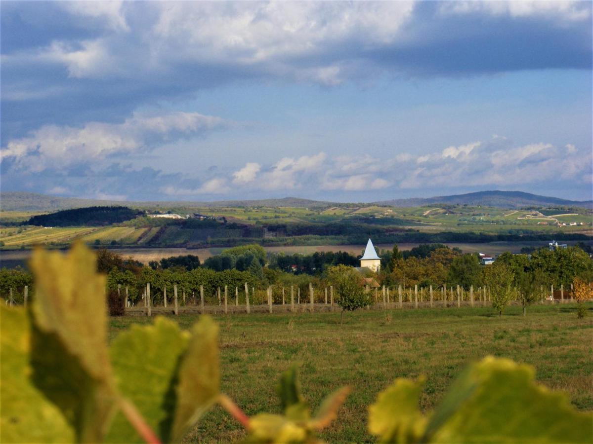 Tokaj Hill Panorama Guesthouse Szerencs Ngoại thất bức ảnh