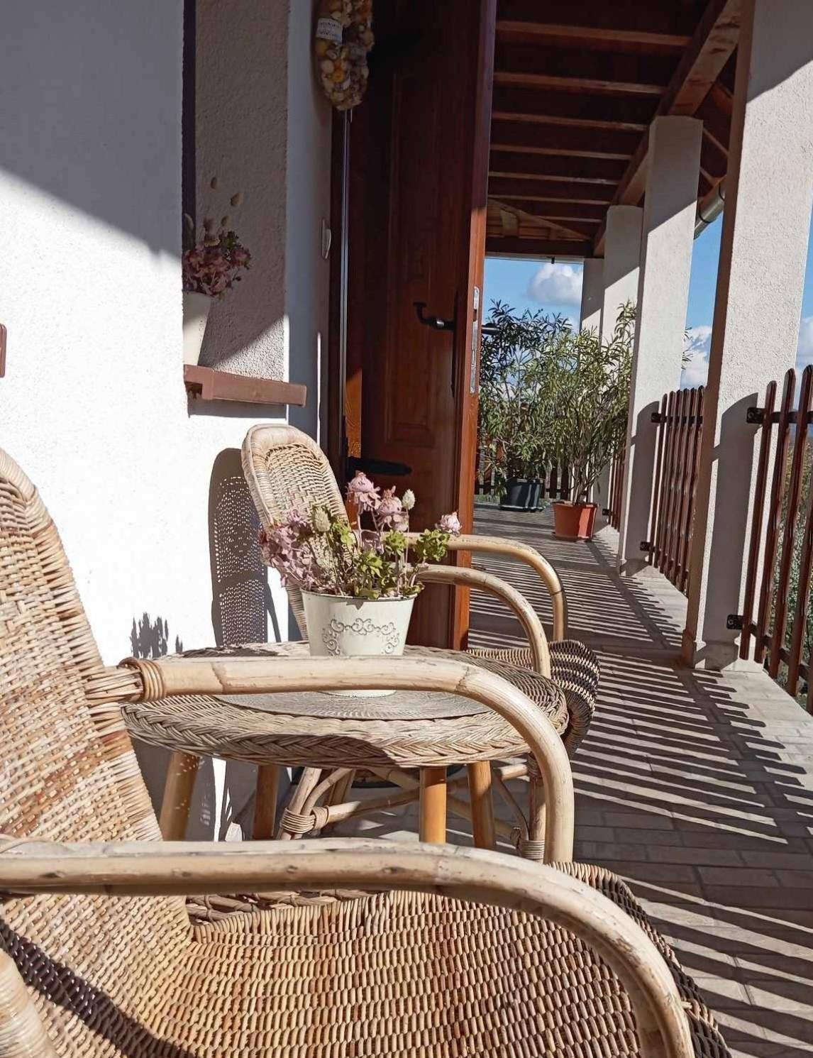 Tokaj Hill Panorama Guesthouse Szerencs Ngoại thất bức ảnh