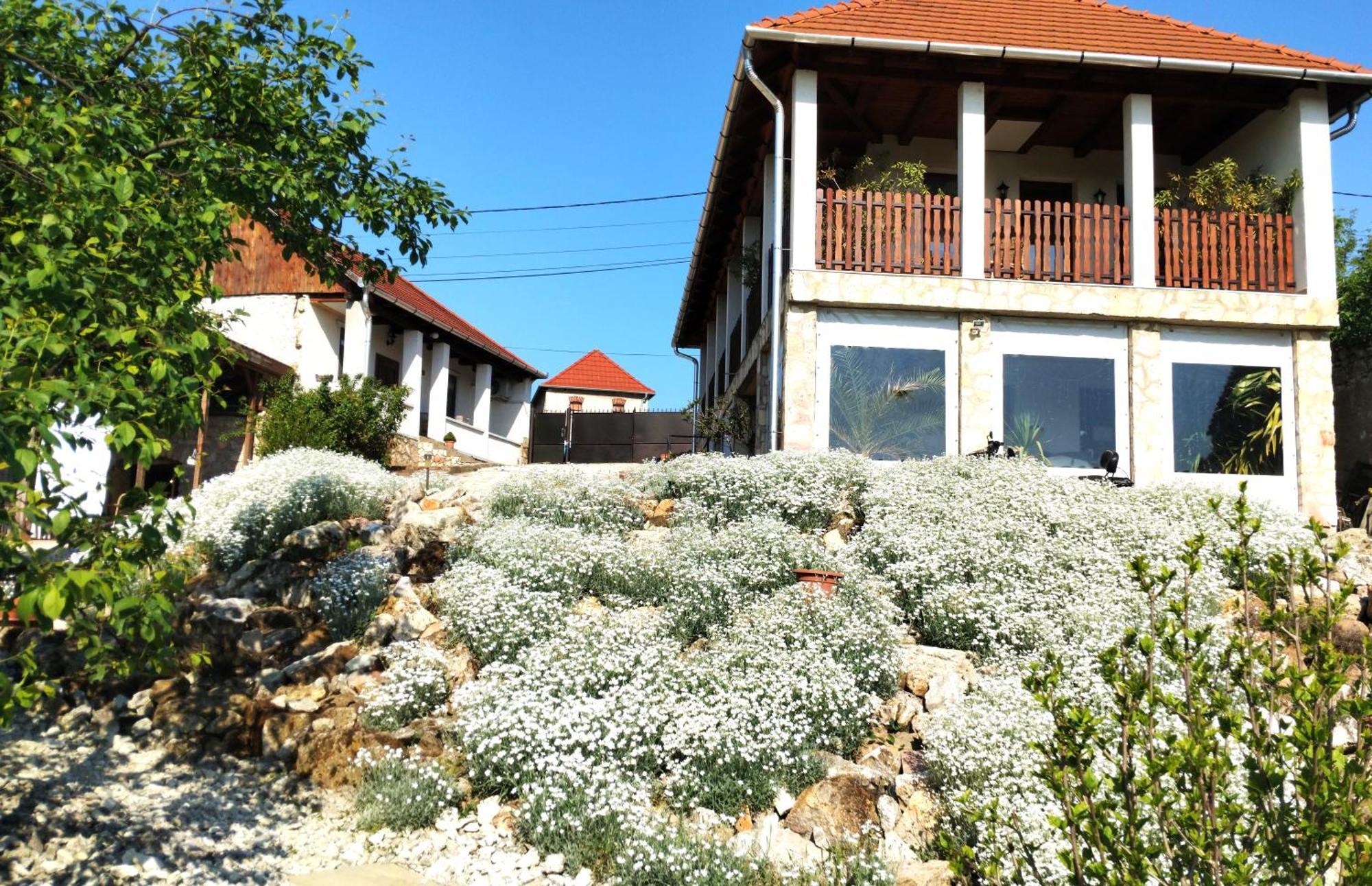 Tokaj Hill Panorama Guesthouse Szerencs Ngoại thất bức ảnh